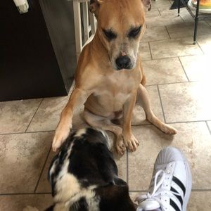 Meet your Posher, Kacee